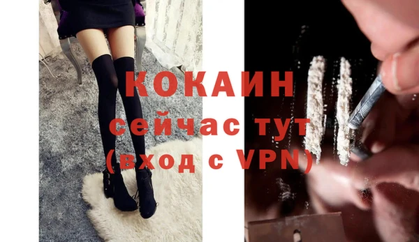 мяу мяу мука Волоколамск