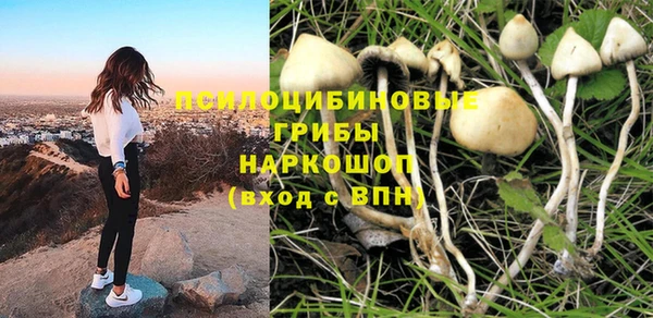MDMA Premium VHQ Абаза