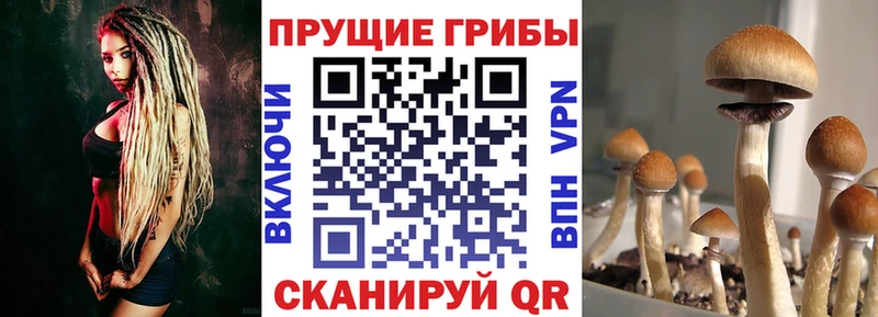 Галлюциногенные грибы мухоморы  Одинцово 