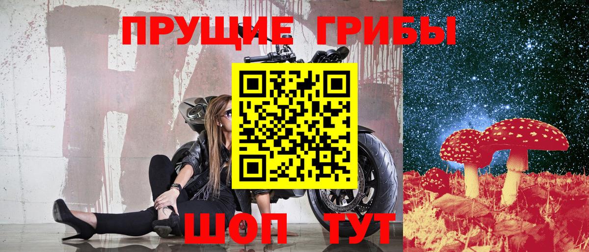 Псилоцибиновые грибы Cubensis Одинцово